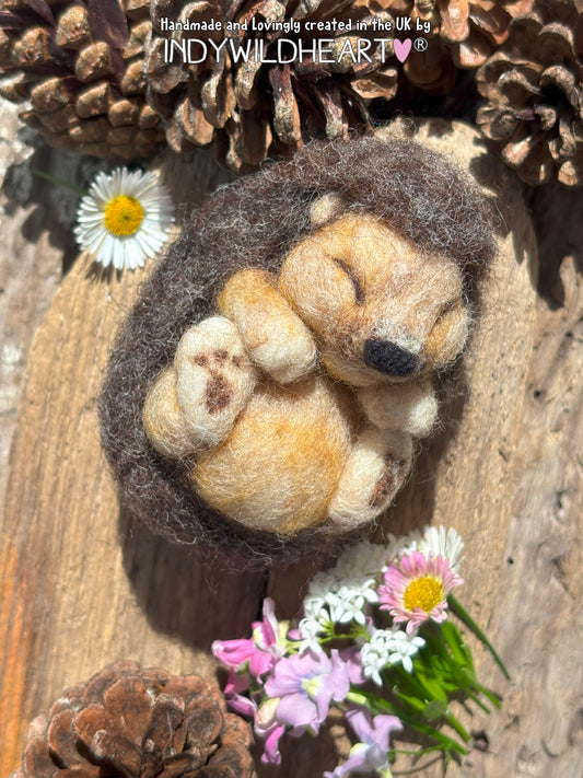 Needle Felted Hedgehog - Cute Sleeping Hedgehog Felted Ornament