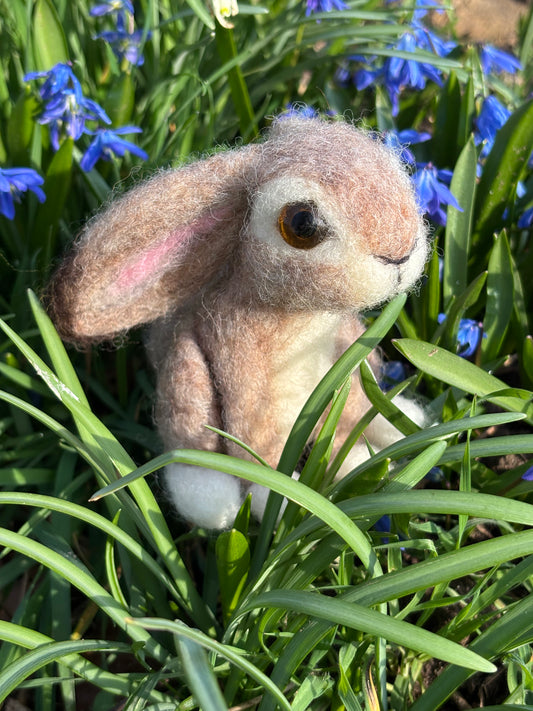 Needle Felt Kit Rabbit - Make Your Own Cute Needle Felted Rabbit - Craft Kit contains everything you need