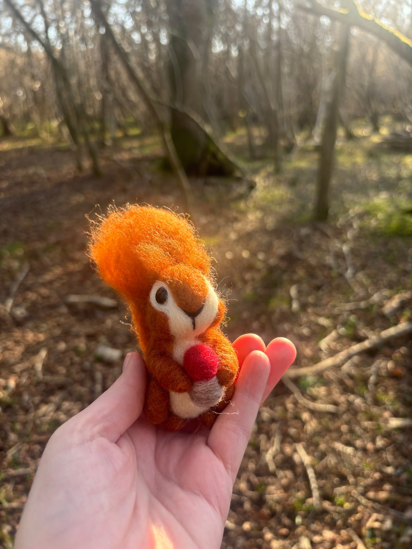 Needle Felting Kit Red Squirrel, Needle Felt your own Squirrel