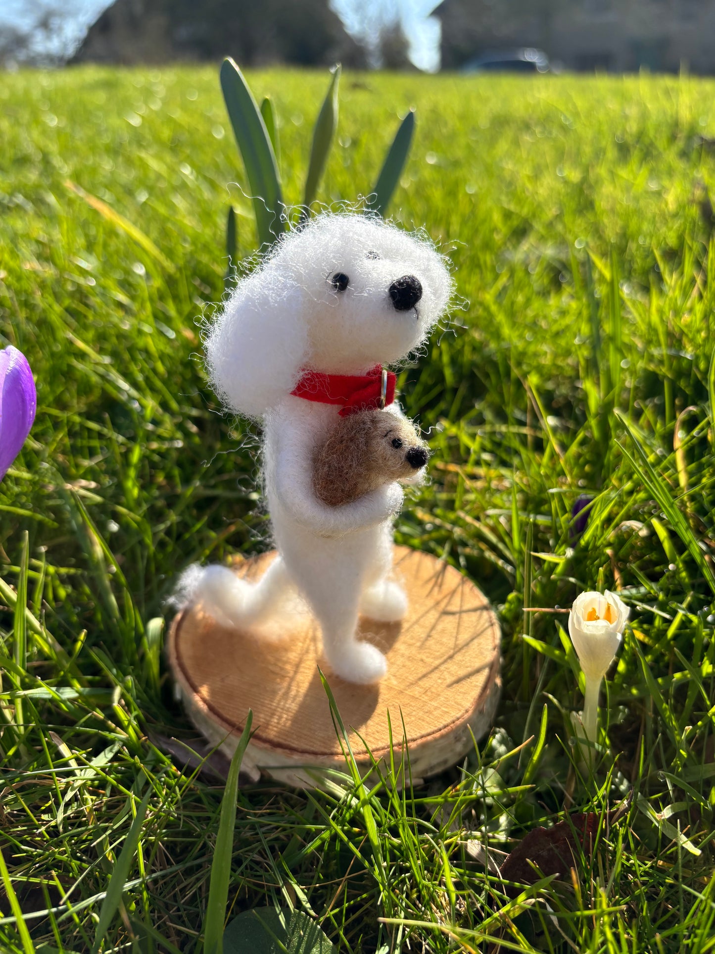 Needle Felted Dog - Needle Felted Bichon Frise - Felted Dog Ornament - Needle Felted Collectable Dogs
