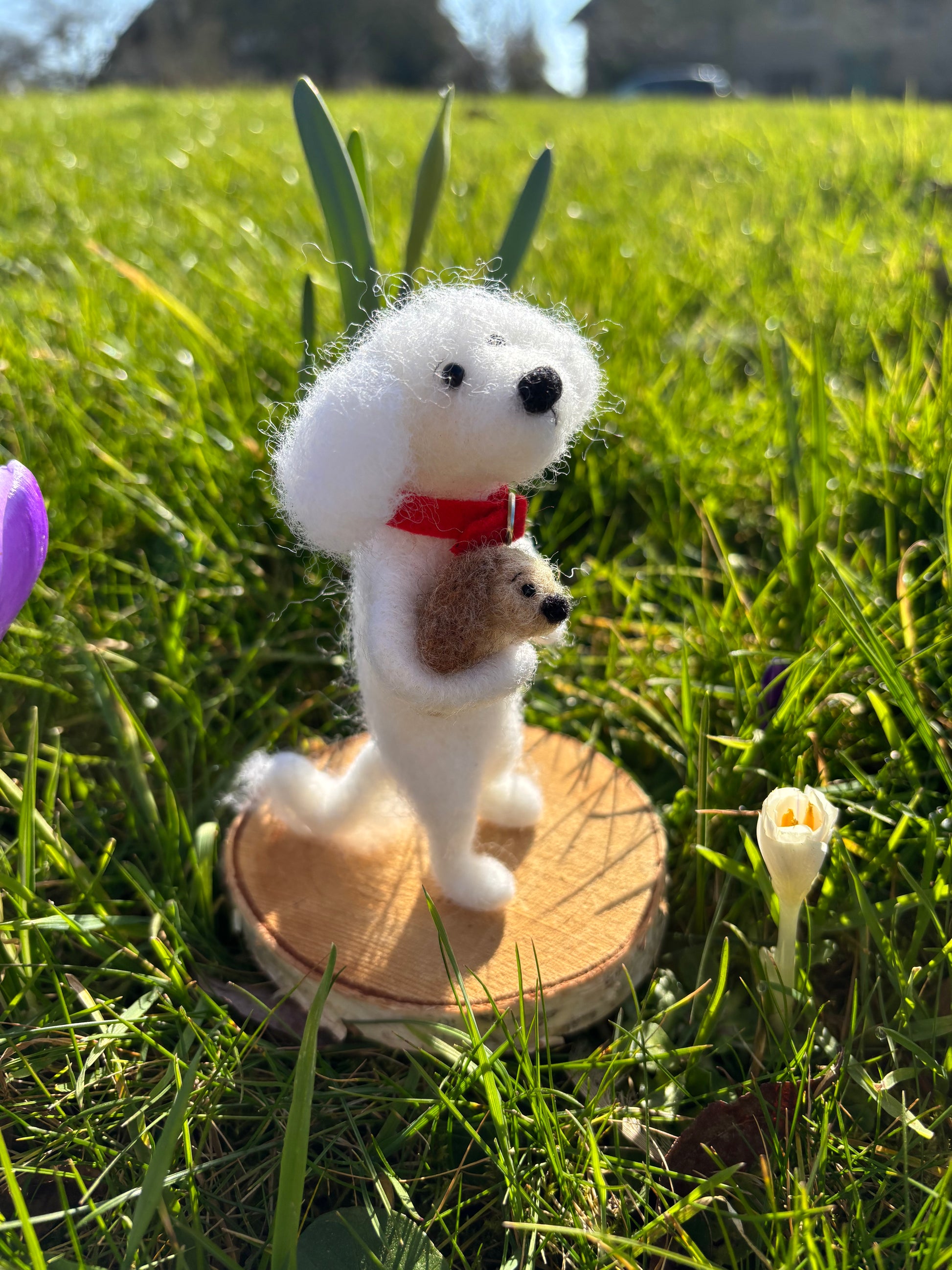 Needle Felted Dog - Needle Felted Bichon Frise - Felted Dog Ornament - Needle Felted Collectable Dogs