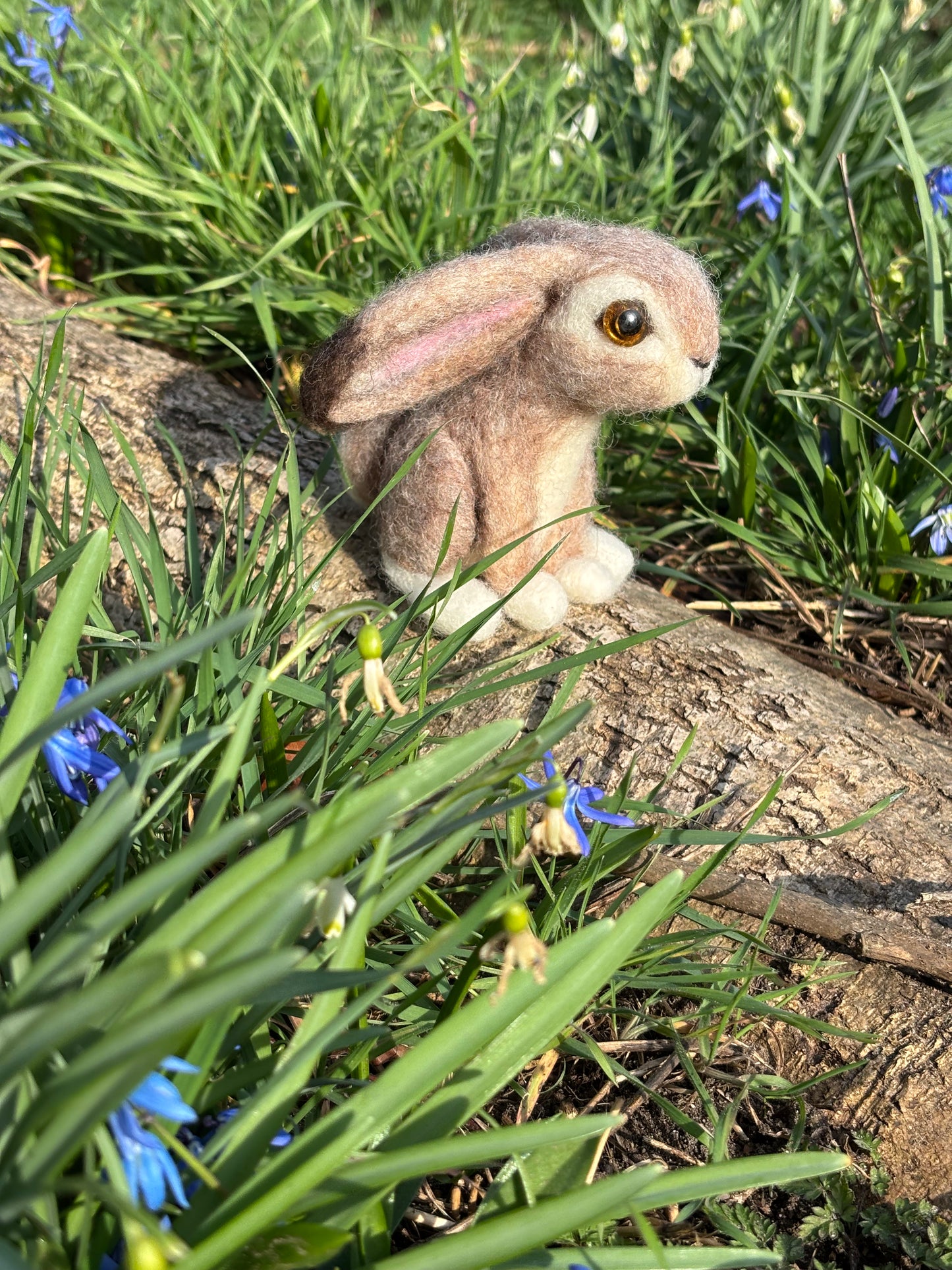 Needle Felt Kit Rabbit - Make Your Own Cute Needle Felted Rabbit - Craft Kit contains everything you need
