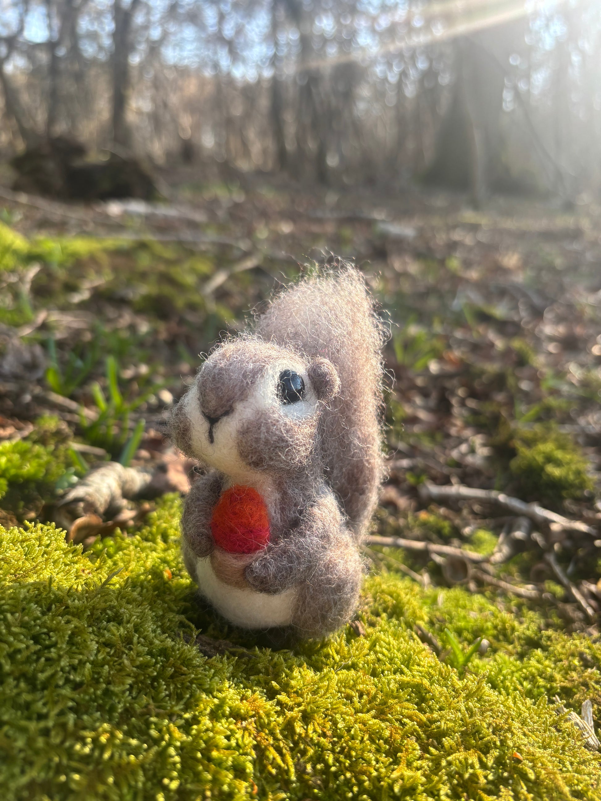 Squirrel_Needle_Felting_KIT_Craft_Kit_Squirrel
